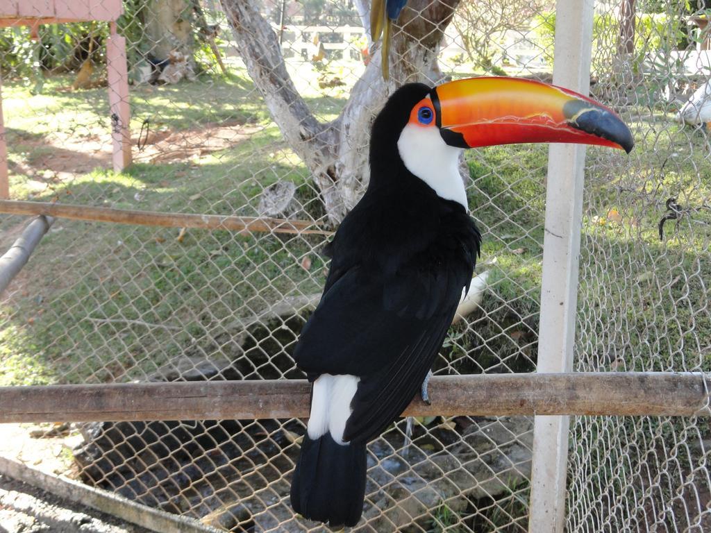 Hotel Fazenda Floresta Do Lago Socorro  Luaran gambar
